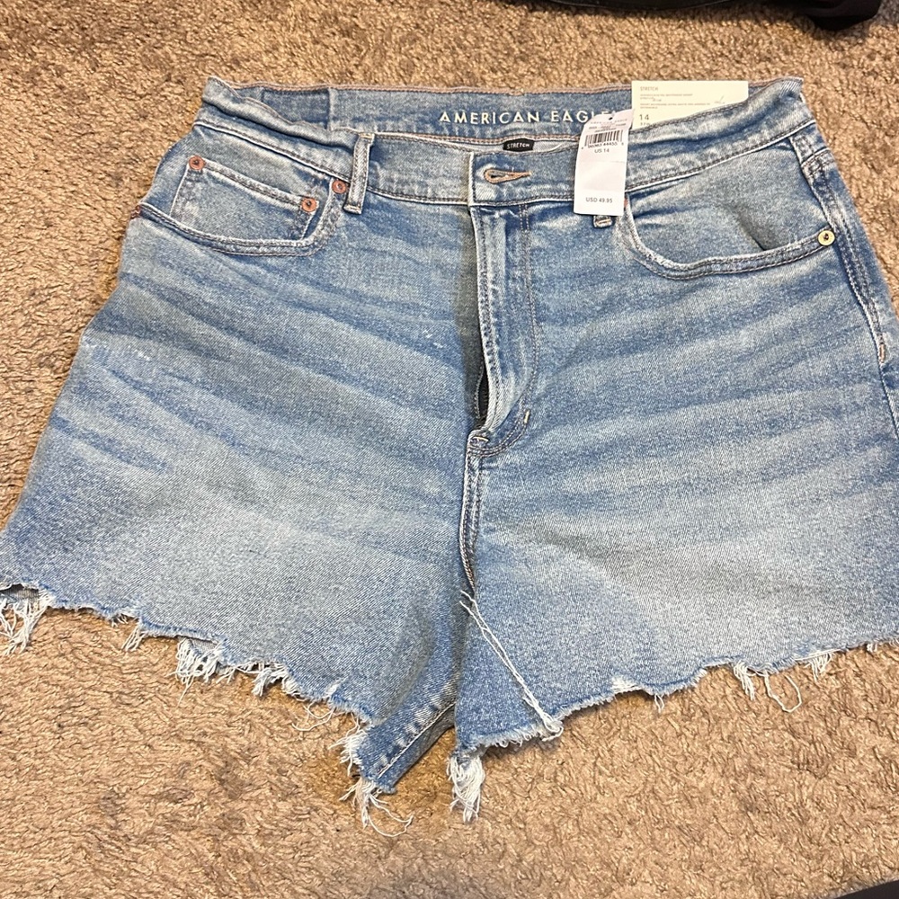 American Eagle Outfitters Blue Jean Shorts
